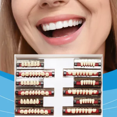 Dental Consumables Manufacturer Denture Artificial Acrylic Resin Teeth for Sale Wholesale