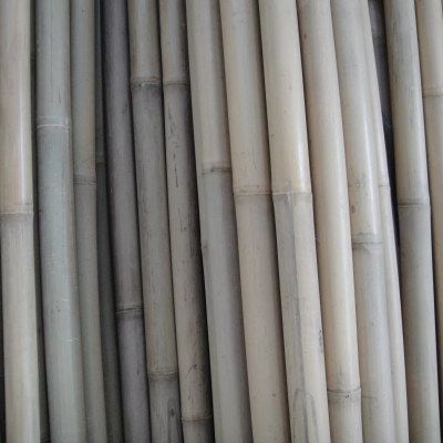 Bamboo for Plant Growing