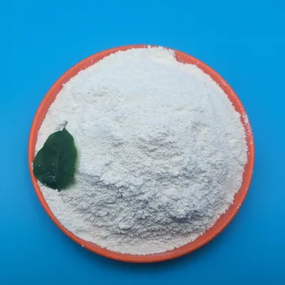 High Quality Industrial Grade Calcium Hydroxide Hydrated Lime Fine Powder Ca(OH)2 Limestone-Based Haida Brand 25kg/bag Waste