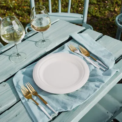 Eco-friendly Dinnerware Bpa Free 9 Inch White Uncoated Disposable Sugarcane Pulp Paper Plates Dishes