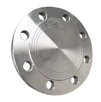 Custom 304/316L Flat Face Blind Stainless Steel Flange for Laboratory Instrument Medical Device and Measuring Equipment