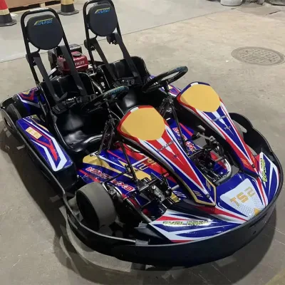 China Direct Suppliers Playground Games Adult Double Seats Infinitely Variable Speed Electric Go Kart for Sale