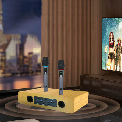 Hot Sell Family KTV Party Kids Adults Karaoke Set Machine Portable Wireless Karaoke BT Speaker With Microphone
