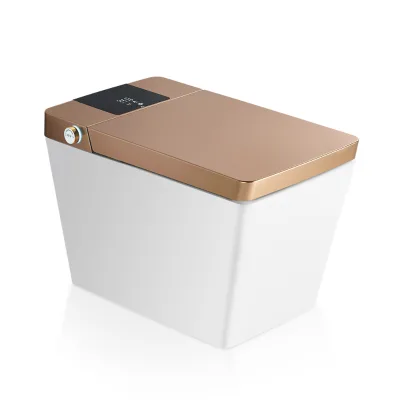 Low Pressure Flush Elongated One Piece Electronic Smart Toilet 2025