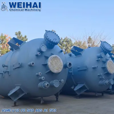 50m3 Hydrothermal Carbonization Reactor Pressure Vessel for Pu Adhesive