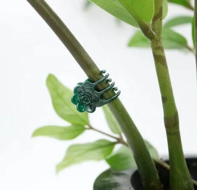 Plant Support Orchid Clip