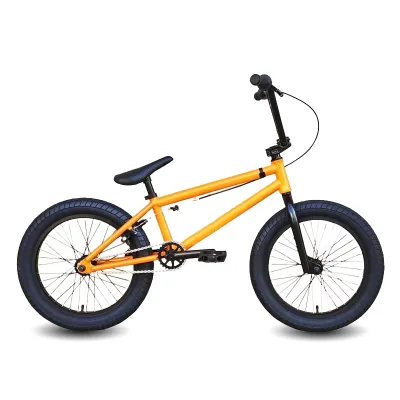 20 Inch Steel Hard Frame Freestyle Bicycles Outdoor Sport BMX Cycles Bmx Bike