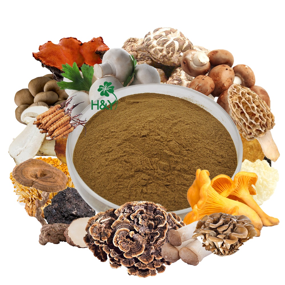 OEM Custom Mushroom Coffee Powder Natural Mushroom Extract Mushroom Coffee Powder