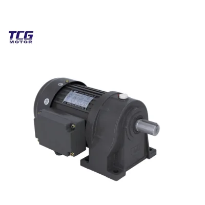 2HP 100RPM Electric Motor with Gear Recuction Box