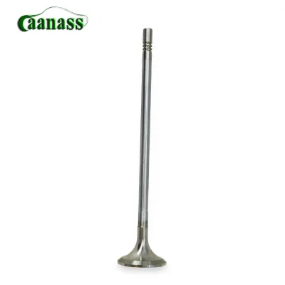 Caanass Guangzhou High Quality Truck Accessories 20768519 Exhaust Valve Use for Volvo Truck Spare Parts