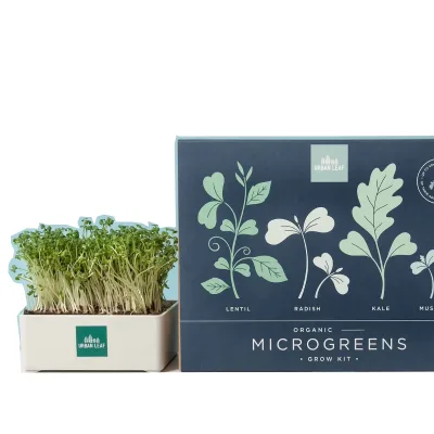 Customize Microgreens Growing Kit for Window Shelf Bundle Suitable for Year Microgreen Tray Indoor Garden Kit