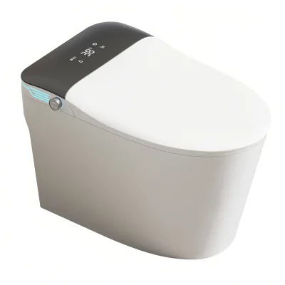 Most Cost Efficient Floor Mounted Dual Flush Elongated Sanitary Toilet Seat Cover Remote Control Included Heated Seat S-trap