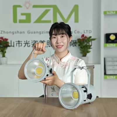 3 CCT High Brightness LED Exhibition Advertising Signboard Lighting 120W Spotlight