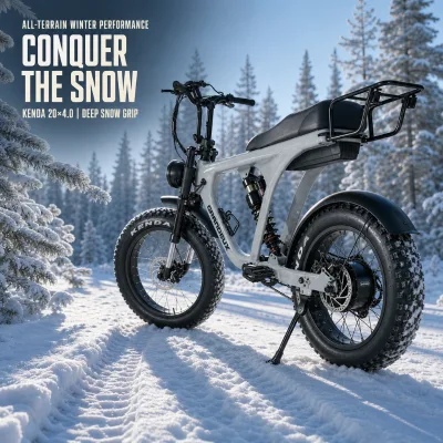 High Performance 48V 750W Brushless Motor 20Ah Lithium Battery 20-Inch Fat Tire Aluminum Alloy Frame Snow Electric Bike