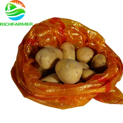 Fresh Potato 150g-450grams 25kg Bag to Ghana