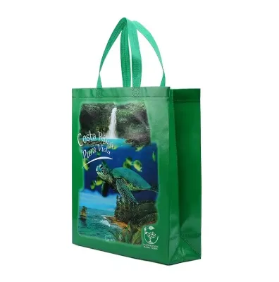 Eco-Friendly Reusable Non-woven Bag Promotional Clothing PP Laminated Grocery Bags