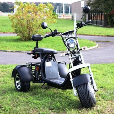 NEW 3 Wheel Electric Scooter in EU Warehouse USA Warehouse Golf Scooter and Golf Scooter for the Elderly and Disabled