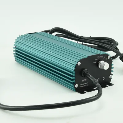 Hortlight Hot Selling HPS Ballast 600W High Pressure Sodium Lamps IP65 Aluminum Bloom