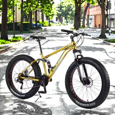 Best Selling 21 Speed Full Suspension MTB Sand Beach Bike Disc Brake Steel Fork Sport Bicycle CE Certified Aluminum Alloy Rims