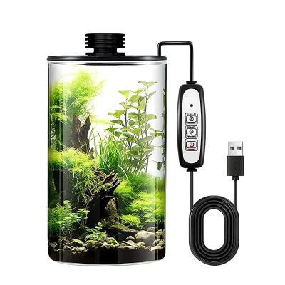 Newly Desktop Glass Bottle Terrarium Light Fits Potted Plants Succulent Moss Miniature Landscape Breathable With Timer Function