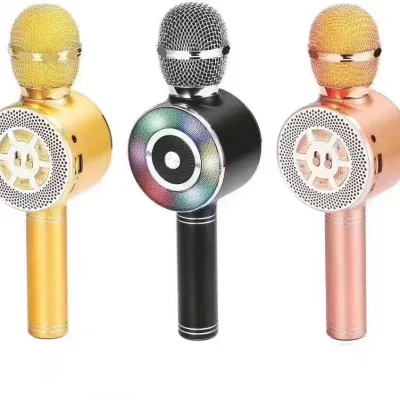 Hot Selling WS669 Wireless Microphone Portable Phone Mic Stable Connection