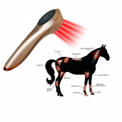 Factory New Invention LLLT Veterinary Laser 650nm+808nm Wavelengths 11pcs 650nm Diodes for Pain Relief Healing Pets Larger