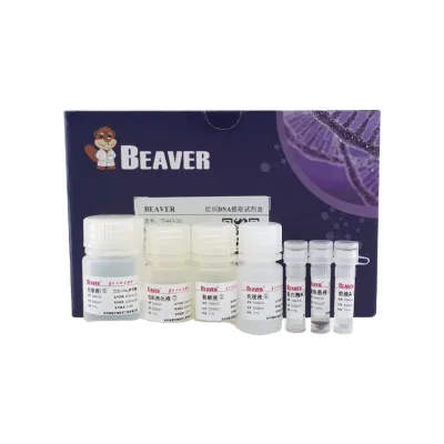 BeaverBeads Tissue DNA Kit for High-throughput, Automated