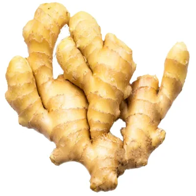 Organic Young Fresh Ginger High Quality Ready to Export From Market Price
