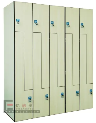 Public Area Furniture Swimming Clothes Changing Room 5-door Cabinet Compact Locker Storage Wardrobe with Key and Clothes Hanger