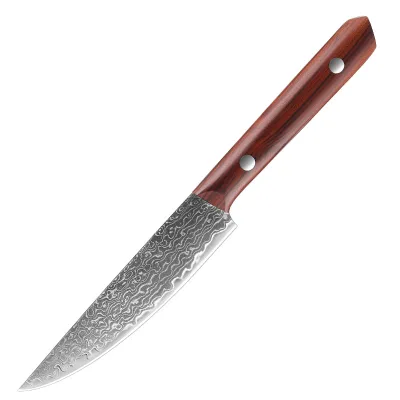 Damascus Stainless Steel 5-inch Universal Pocket Knife Fruit Meat Melon Peeling Home Steak Knife Utility knives