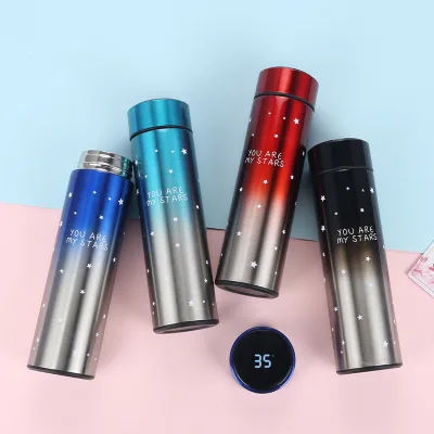 Intelligent Smart Thermo Reminder Drink Water Bottle with LED Temperature Display Lid Vacuum Flask