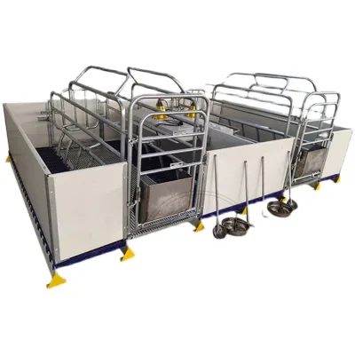 Pig Breeding Equipment of Sow Farm in Delivery Shed