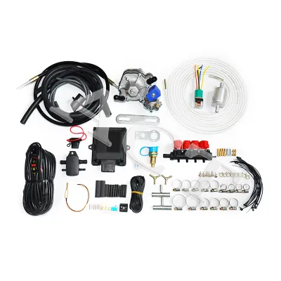 LPG Gas Conversion Kit From Petrol to Gas Kit LPG MP 48 ECU ACT 09 Reducer Injector Rail Filter Hoses Full Set