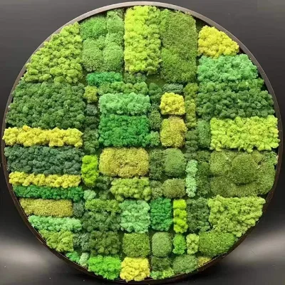 EG-V037   Customized Real  Wall Art Handmade Moss Panel Natural Green Wall Preserved   Moss Wall Frame Magic Moss