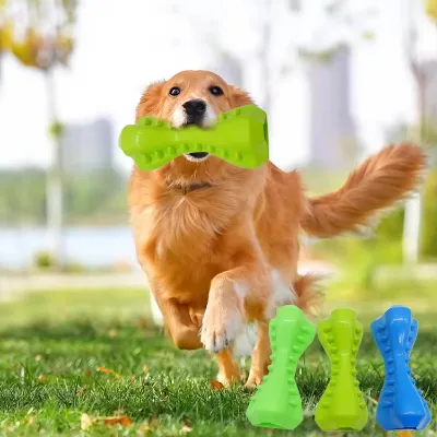 Juguetes Para Mascotas Eco-Friendly TPR Modern Colorful Dog Chew Toys Bone for Puppy Teething