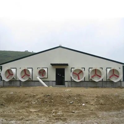 Modular Steel Structure Full Automatic Poultry House H Cage Layer Chickens Building for Sale