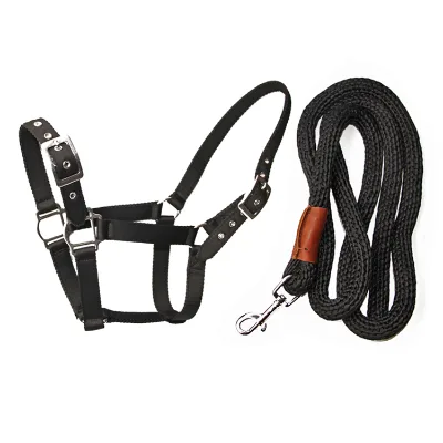 High Quality Nylon Polyester PP Horse Riding Halter Rope Rein Set, Lead Ropes and Halters for Horses
