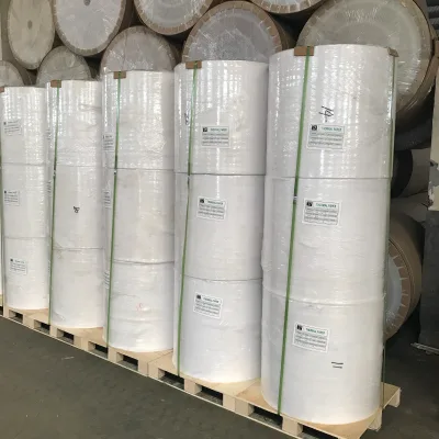 Double Tree Thermal Cash Register Paper Jumbo Rolls 80x80mm 6000m Length Big Reel