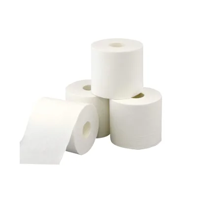 Super Absorbent Bathroom Tissue Toilet Paper 2 Ply Toilet Paper Custom Water Soluble Eco-friendly Toilet Tissue