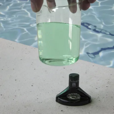DDP Service Customs Clearance Service Payment Guaranteed Fast Delivery Effective Advanced Liquid Pool Algaecide