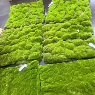 EG-A216 Artificial Moss Wall 10x10 Grass Wall Panels 12pcs Panel Home Decor Grass Wall Moss Rock Decor