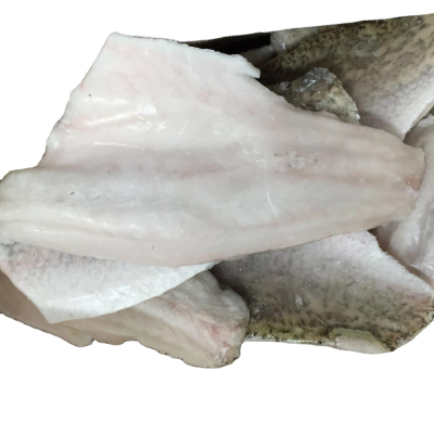 Wholesale Good Quality Frozen Seabass Barramundi Fillet