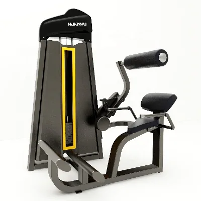 Factory Price Back Extension Machine Strength Machine Pin Loaded Equipment