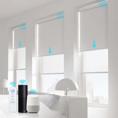 Modern Outdoor Double Roller Blinds for Windows Wire-Free Motorized Electric WiFi Remote Control Plain Design Waterproof Privacy