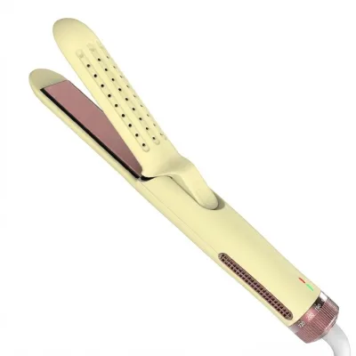 2 in 1 Airflow Styler Swivel Disk 5 Heat Settings Hot to Cold Transition