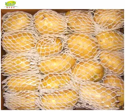 Bulk Fresh Potato Importers in Qatar