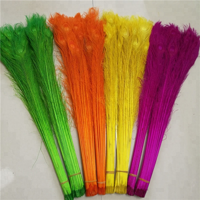 Wholesale Decor Feathers Dyed Large Peacock Feather for Party Wedding Decoration