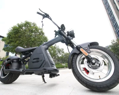 Dogebos China Adult Ladies Noisy Off-road 2000w Electric Parts Racing Motorcycles