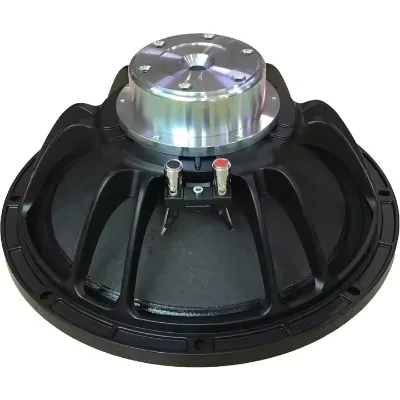 OEM ODM 12 Inch Neodymium Magnet Woofer Unit 3 Inch Voice Coil 12 Inch Size Speaker Accessory
