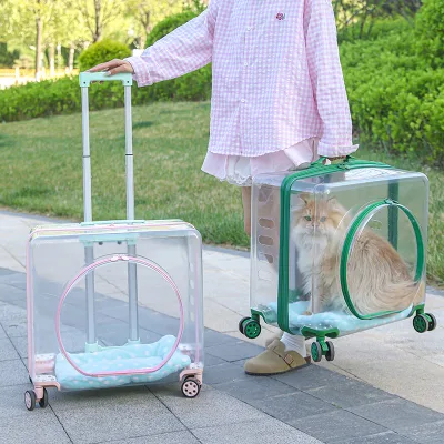 Pet Trolley Large/Extra Large Plastic Cat & Dog Outdoor Travel Case Portable Transparent Breathable Pet Box